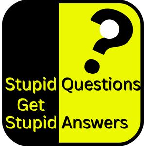 Stupid Questions Get Stupid Answers by Hopewell Valley Student Publications Network