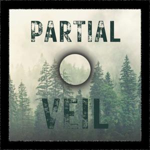 Partial Veil by Ylem Media