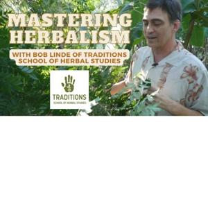 Mastering Herbalism With Bob Linde of the Traditions School of Herbal Studies