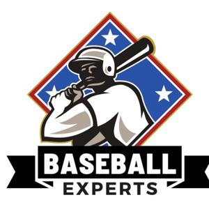 Baseball Experts by Pelota Cubana USA