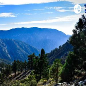 Quratulain- A lost Soul