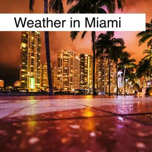 Weather in Miami by Quiet. Please