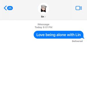 love being alone with lin by lin