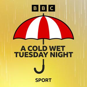 A Cold Wet Tuesday Night: A Stoke City Podcast