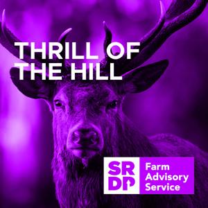 Thrill Of The Hill