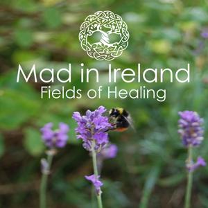 Mad in Ireland: Fields of Healing by Mad in Ireland