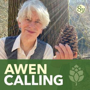 Awen Calling: A Druid Awakening by Michael Sebastien