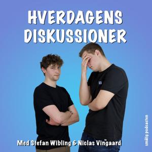 Hverdagens Diskussioner by Stefan Wibling & Niclas Vingaard