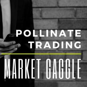 The Market Gaggle by Pollinate Trading by Chris