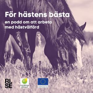 För hästens bästa by Magdalena Åkerfeldt & Frida Petters