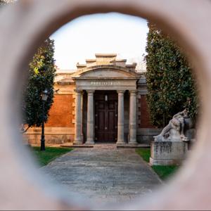 情緒樹洞練蕭威