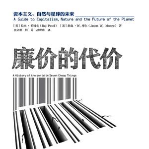 廉价的代价：耳目一新的“资本主义”