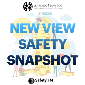 New View Safety Snapshot