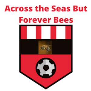 Across the Seas but Forever Bees - An American Brentford Podcast by Tim Searls