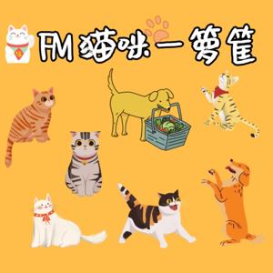 FM猫咪一箩筐