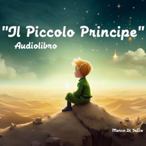 Il Piccolo Principe