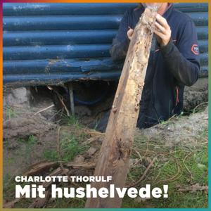 Mit hushelvede by Simon Philip