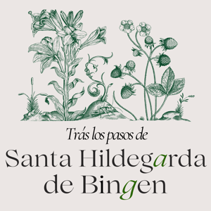 Trás los pasos de Santa Hildegarda de Bingen