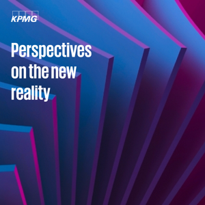 Perspectives on the New Reality