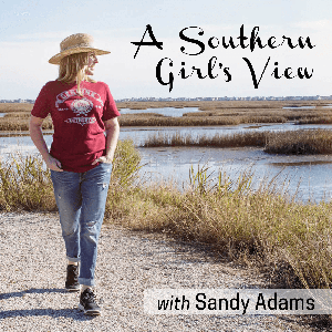 A Southern Girl's View with Sandy Adams by Sandy Adams