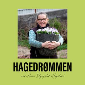 Hagedrømmen