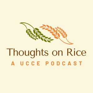 Thoughts on Rice by UCANR