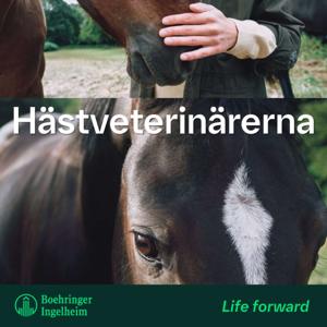 Hästveterinärerna