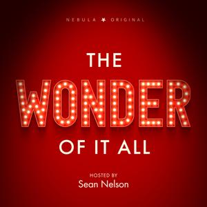 The Wonder of It All by Sean Nelson