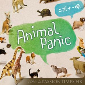 Animal Panic - PassionTimes Podcast (HD Video)