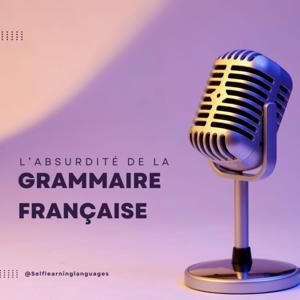 L'absurdité de la grammaire française !