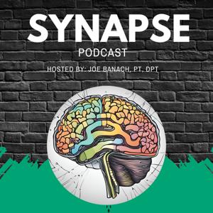 Synapse
