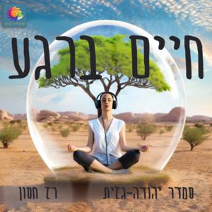 חיים ברגע | סמדר יהודה-גזית ורז חסון | מיינדפולנס