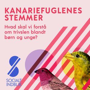 Kanariefuglenes stemmer