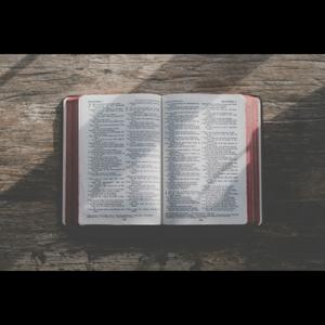 Bible Classes - OABS.org