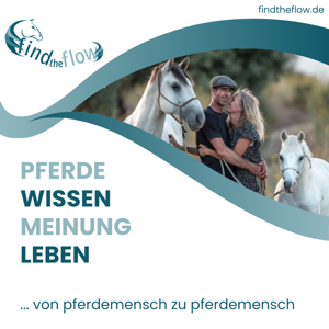 findtheflow ... von pferdemensch zu pferdemensch