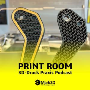 PRINT ROOM: 3D-Druck Praxis Podcast