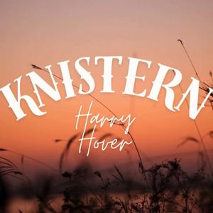 Knistern - Erotische Geschichten zum warm werden by Harry Hover