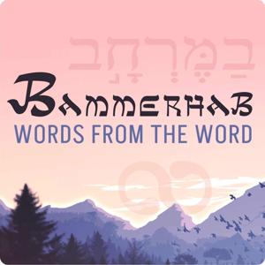 Bammerhab - Words from the Word