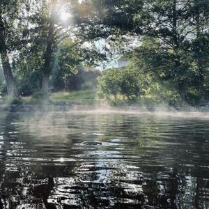 Skogen och klimatet