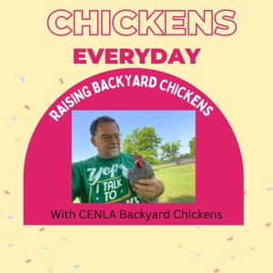 Chickens Every Day by CENLA Backyard Chickens