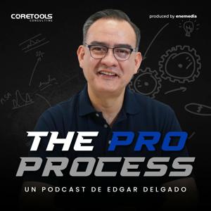 The Pro Process by Edgar Delgado