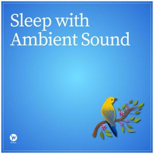 Sleep with Ambient Sound