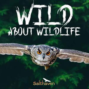 Wild About Wildlife