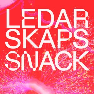 Ledarskapssnack