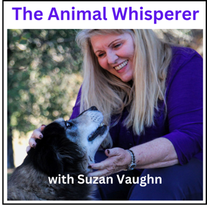 The Animal Whisperer with Suzan Vaughn: Animal Communication Stories