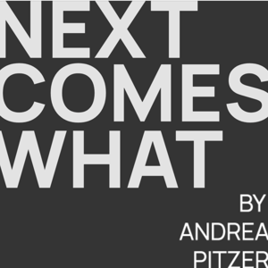 Next Comes What by Andrea Pitzer