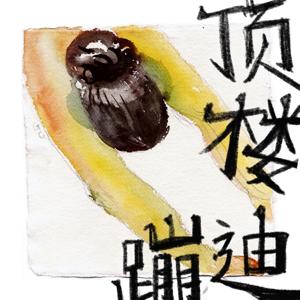 顶楼蹦迪 Modern Seaweed