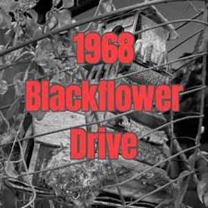 1968 Blackflower Drive by Pryzsons Break Productions