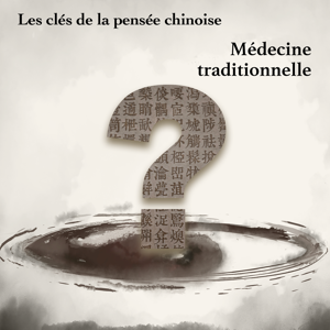 Les Clés de la pensée chinoise - Médecine traditionnelle by Bambou Studio