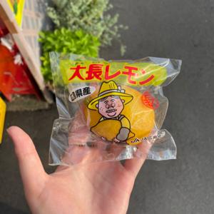 シティローストと建仁寺